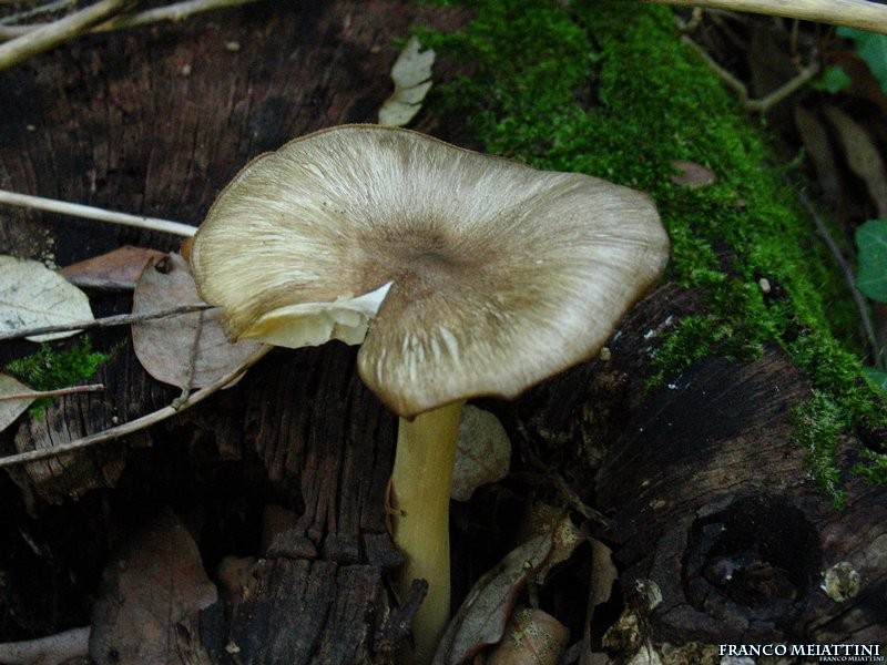 Escursione nel tempo